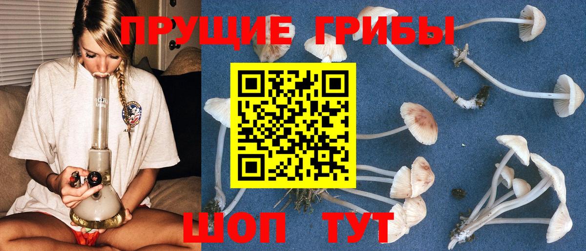 Галлюциногенные грибы прущие грибы Кашира
